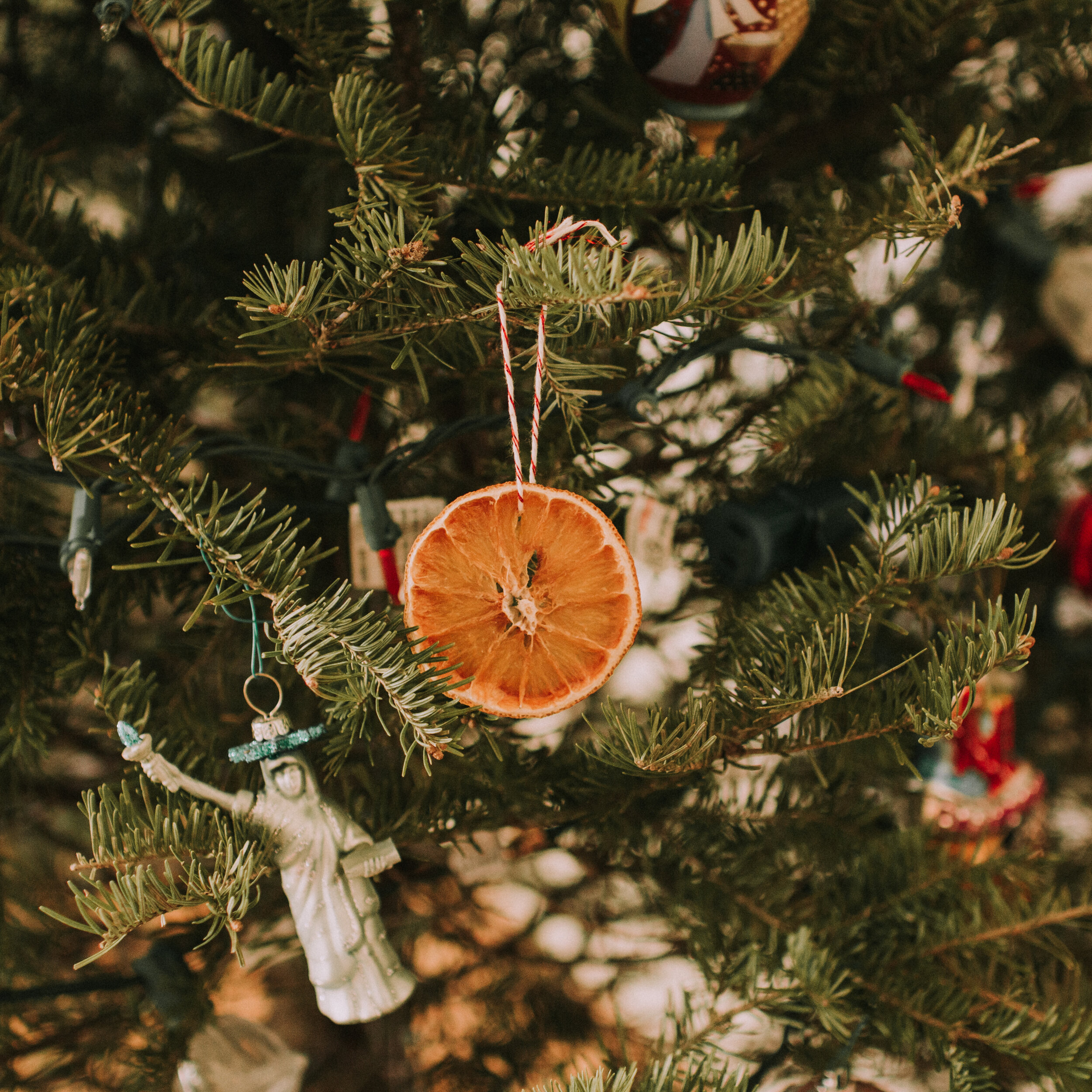 DIY Dried Orange Slices