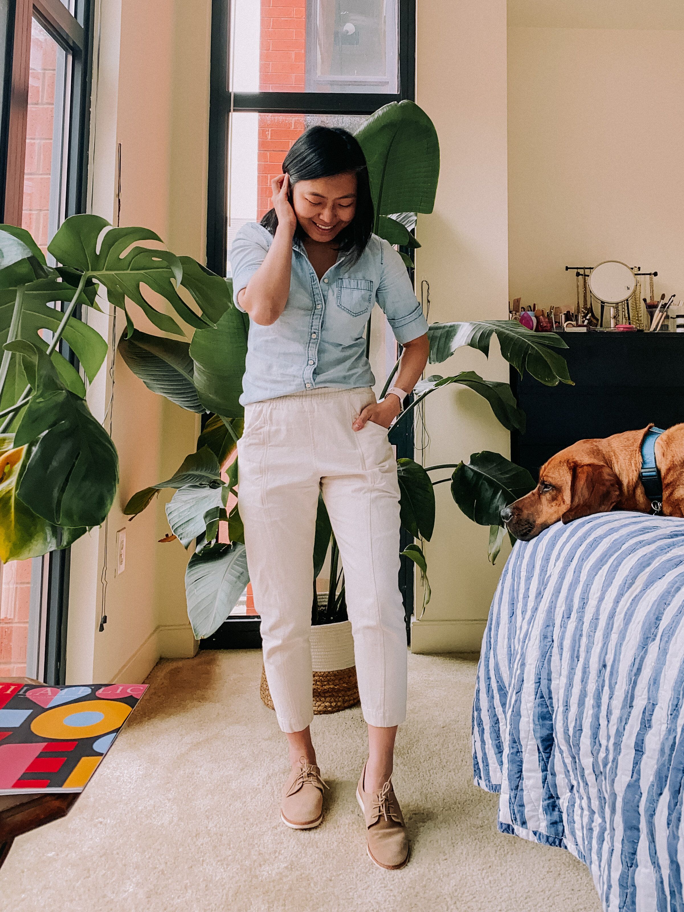 Where to Buy Houseplants